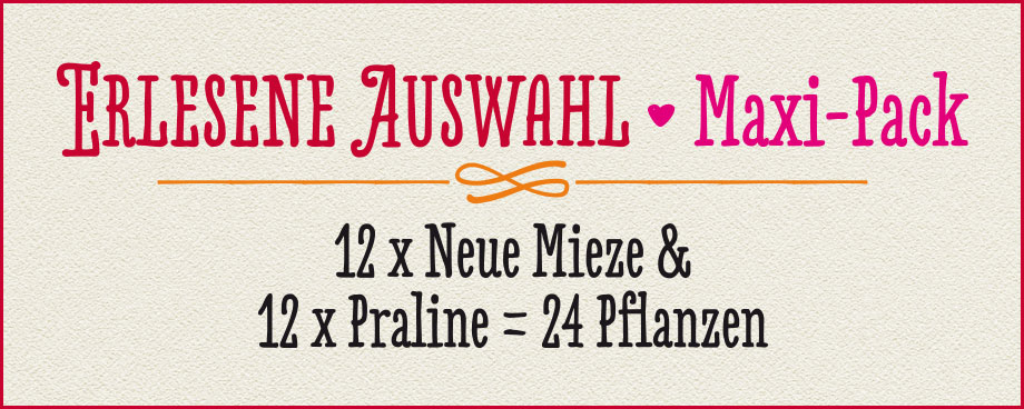 ERLESENE AUSWAHL · Maxi-Pack