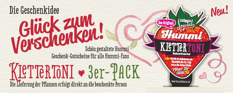 Geschenk-Gutschein · KletterToni · 3er-Pack